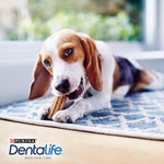 Purina Dentalife - Snack per l'igiene dentale per cani di piccola e grande taglia, riduce la formazione di tartaro