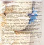 Haribo Caramelle Gommose, Vaniglia, 175g