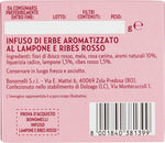 Bonomelli Infusi Fruttosi, Lampone e Ribes Rosso, Confezione da 12 filtri, Gusto Rinfrescante e Lievemente Acidulo, Infusione a Caldo e a Freddo, Ingredienti 100% Naturali